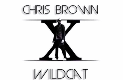 chris-brown-wildcat-thatgrapejuice
