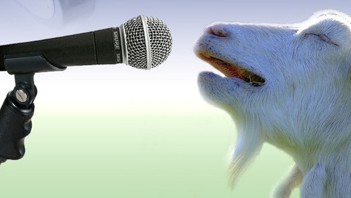 goat-mic-1