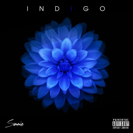 indigo-sammie-thatgrapejuice