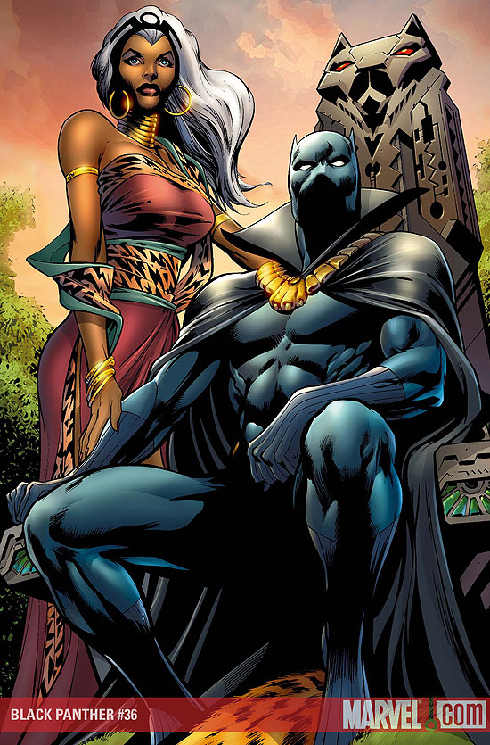 1119724-black_panther_and_storm