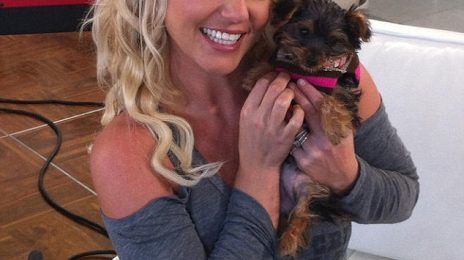 Hot Shots: Britney Spears Glows In New Puppy Snaps