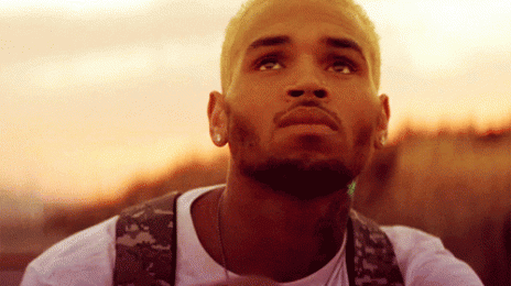New Song: Chris Brown - 'W.T.F.I.M.L'