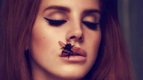 Lana Del Rey On US Success: "I've Had Such A Hand Up In My Face"