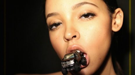 New Song: Tinashe - 'Ride Of Your Life'
