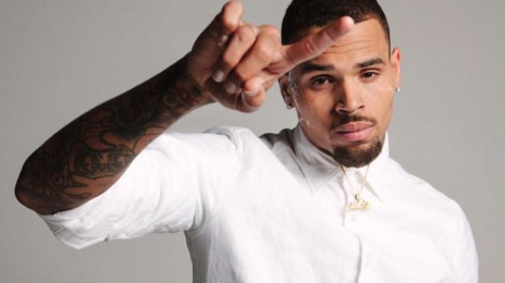 Did You Miss It?! Chris Brown Readies New Documentary