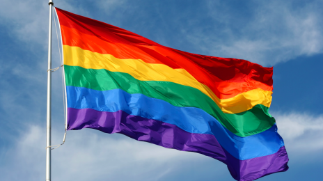 Celebrities React To Orlando LGBT Shooting
