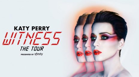 Katy Perry Postpones 'Witness Tour'
