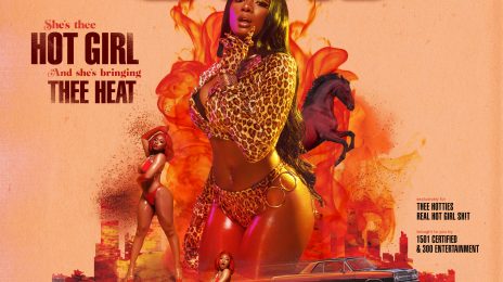 Megan Thee Stallion Unleashes 'Fever' Cover & Tracklist