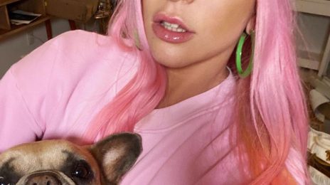 Lady Gaga Offers $500,000 Reward After Dog Walker Shot & Dogs Stolen