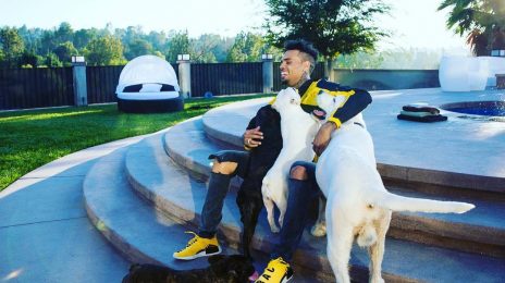 Report:  Chris Brown Sued by Housekeeper & Her Husband Over Vicious Dog Attack