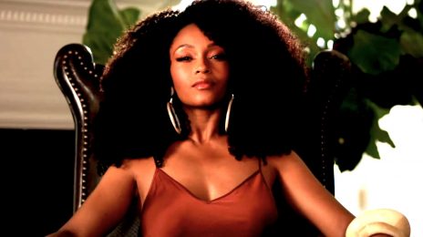 Extended TV Trailer: 'Our Kind of People' [Starring Yaya DaCosta & Morris Chestnut]