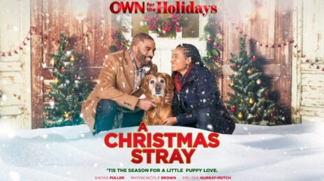 Movie Trailer:  OWN's 'A Christmas Stray' [Starring Andra Fuller, Rhyon Nicole Brown]