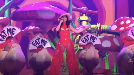 Katy Perry Performs 'When I'm Gone' & More on Saturday Night Live