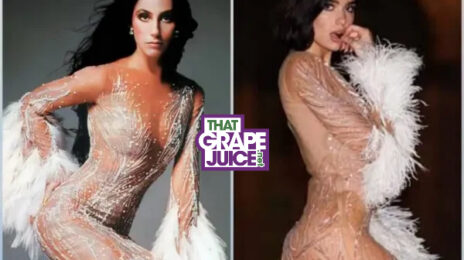 Did You Miss It?  Dua Lipa Fans Slam Cher Over Perceived Diss