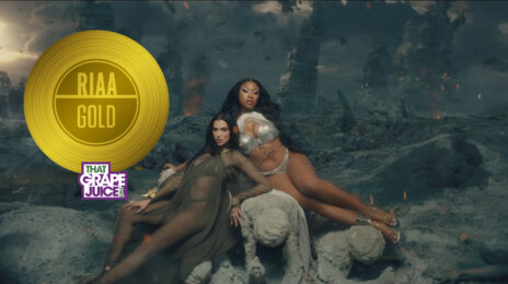 RIAA:  Megan Thee Stallion & Dua Lipa's 'Sweetest Pie' Certified GOLD
