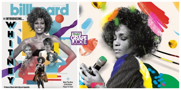 Whitney Houston's Estate & Legacy: Can Primary Wave Transform It? –  Billboard