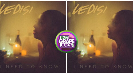 New Song: Ledisi - 'I Need to Know'