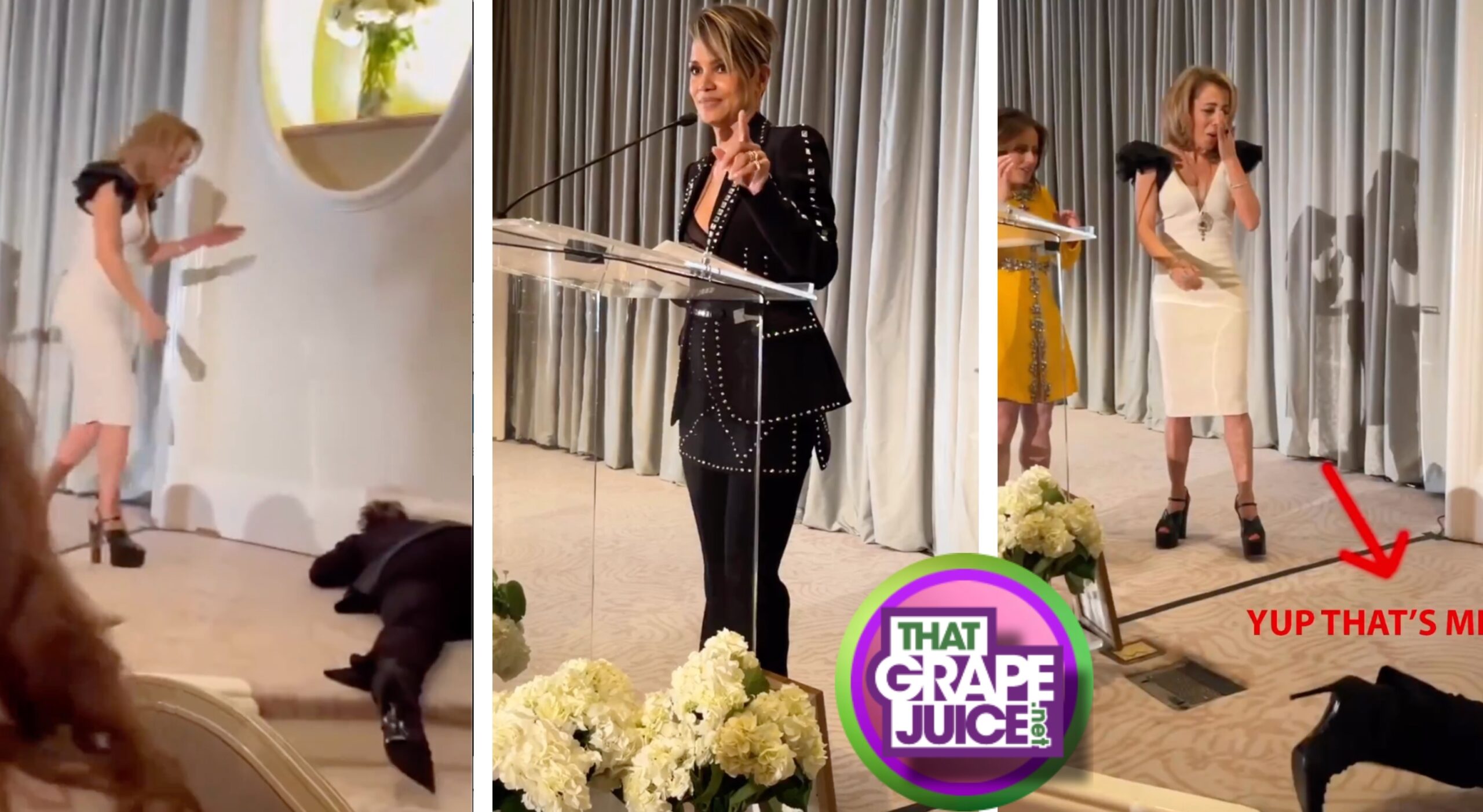 Halle Berry Takes a Tumble at Charity Event: “Sometimes You Bust Your A**” [Video]