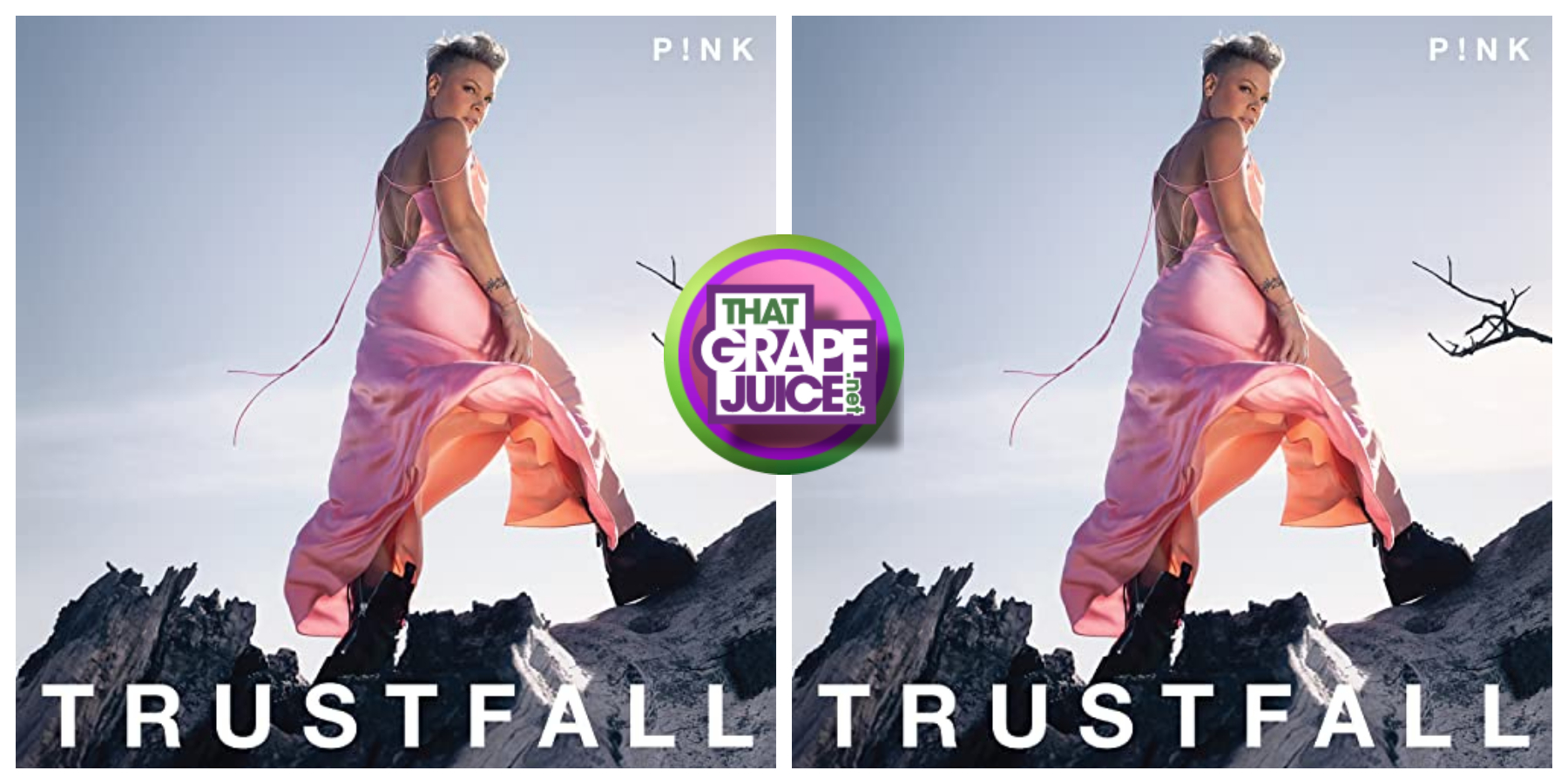 Predictions [Billboard 200]: P!nk’s ‘Trustfall’ Set To Be Her First Album to Miss #1 Since 2012
