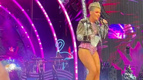 P!nk Left Stunned After Fan Throws Mother's Ashes On Stage