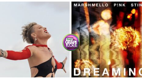 New Song: P!nk - 'Dreaming' (featuring Marshmello & Sting)