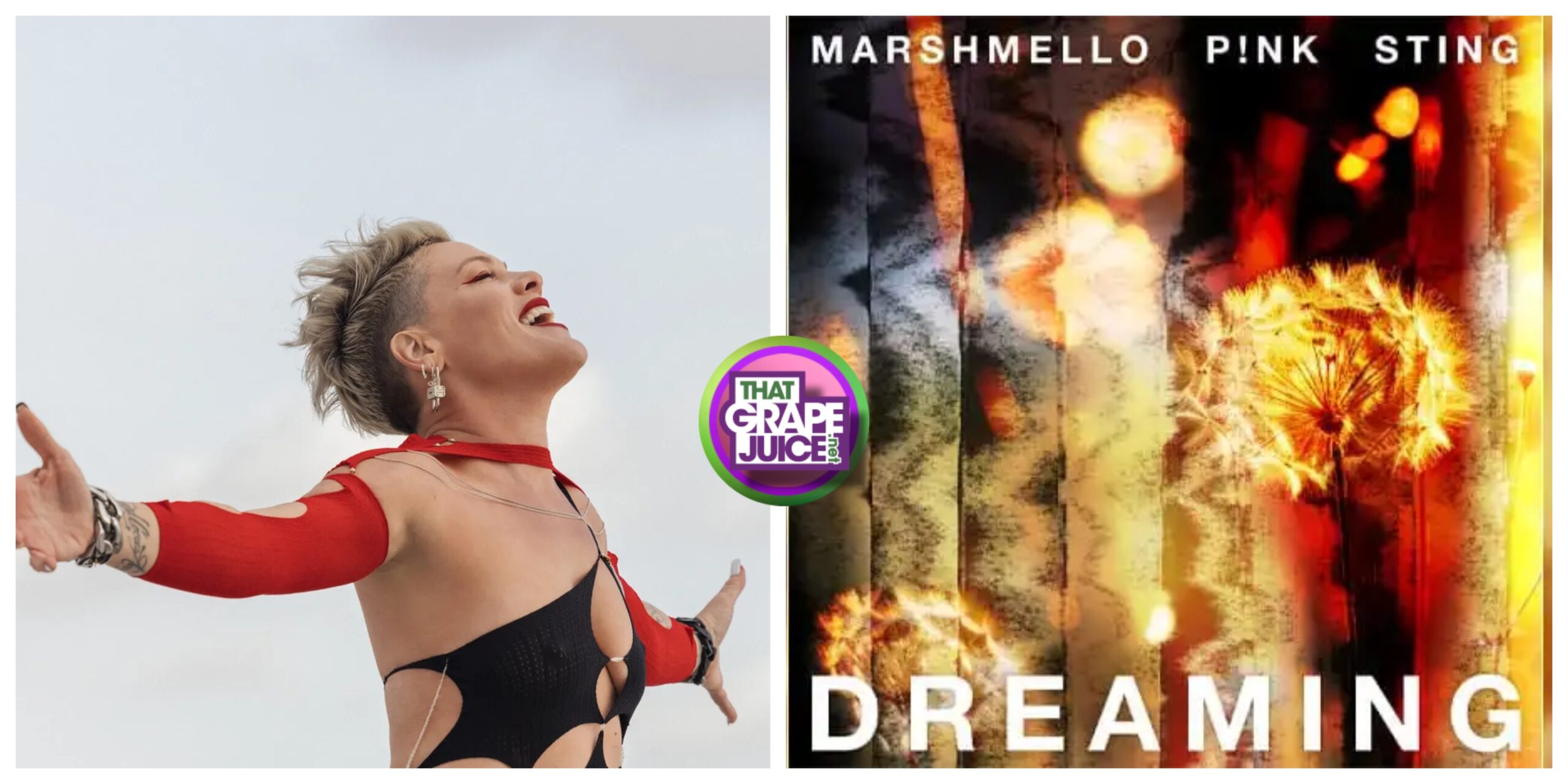 New Song: P!nk – ‘Dreaming’ (featuring Marshmello & Sting)