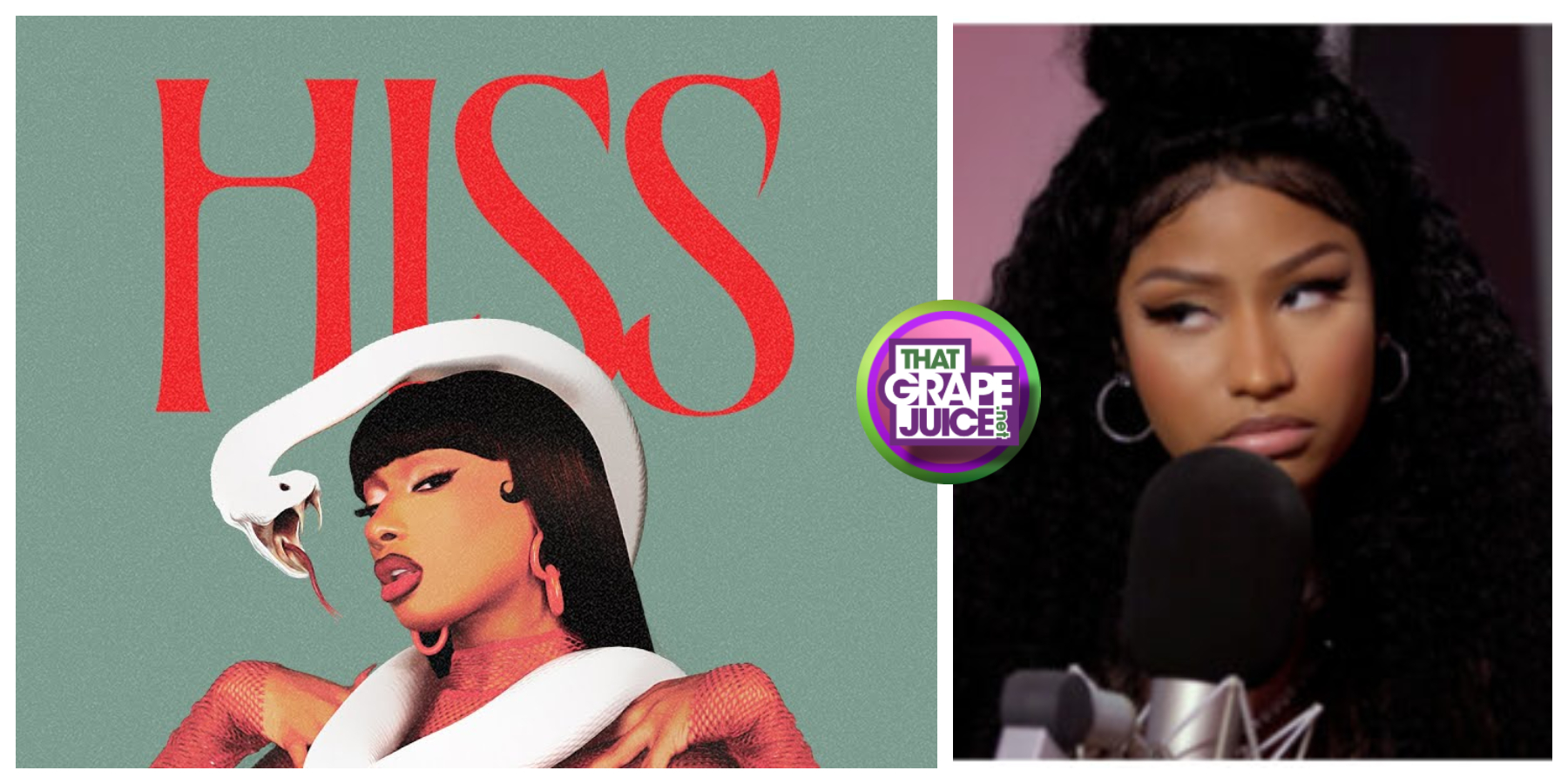 “Bullet-Fragment Foot B*tch”: Nicki Minaj Dares Megan Thee Stallion To Diss Her Family Again After ‘Hiss’
