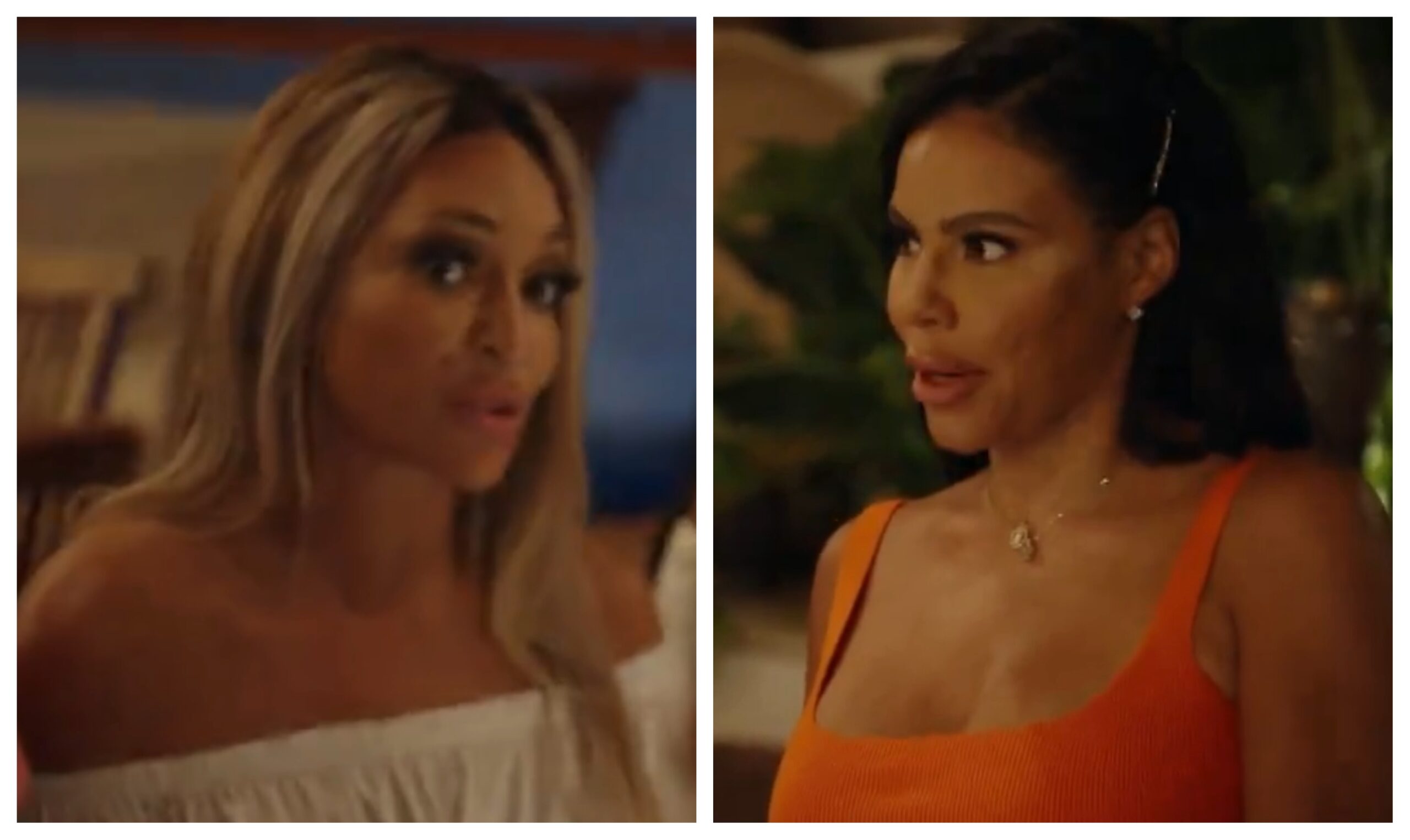 TV Trailer: ‘Real Housewives of Potomac’ [Season 8 / Episode 14]