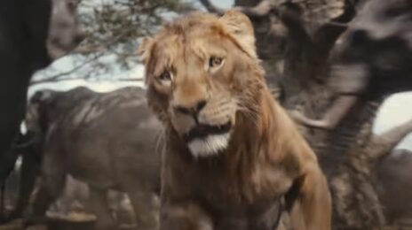 First Look Trailer: 'Mufasa: The Lion King'