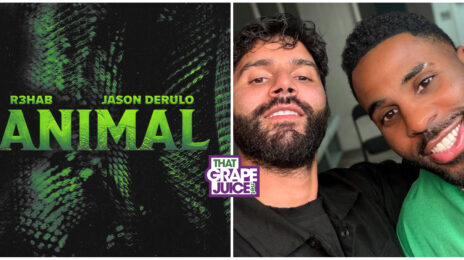 New Song: Jason Derulo & R3HAB - 'Animal'