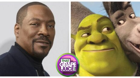 Eddie Murphy CONFIRMS New 'Shrek' Movie & Donkey Spin-Off