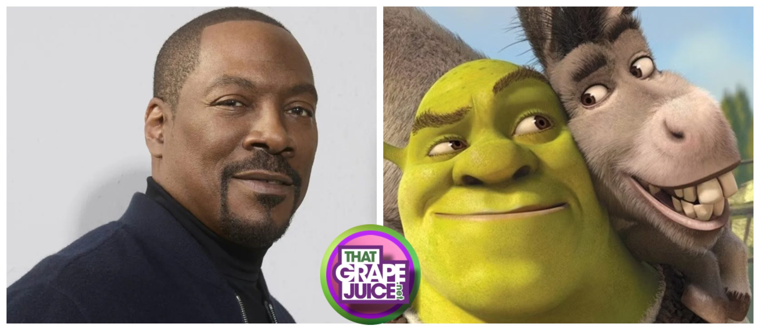 Eddie Murphy CONFIRMS New ‘Shrek’ Movie & Donkey Spin-Off