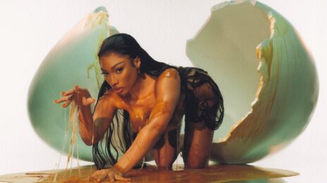 Megan Thee Stallion Unleashes New 'Megan' Album Cover / 18 Songs Confirmed