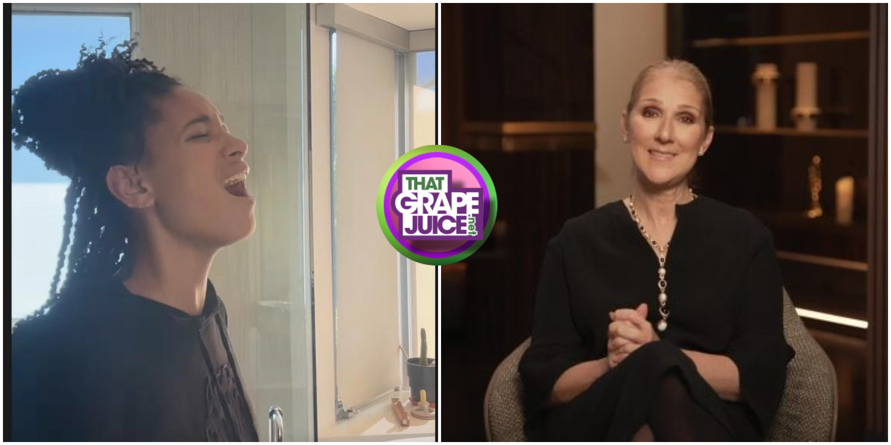 Did You Miss It? Willow Smith Fangirls Out After Getting a Nod from Celine Dion for Covering ‘All By Myself’: “The Queen of Queens Noticed Me”