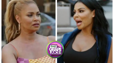 TV Trailer: ‘Real Housewives of Potomac’ [Season 9 / Episode 9]