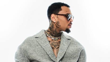 Chris Brown’s Lawsuit Over Reported Nightclub Attack Dropped by Accuser / Singer Still Faces Criminal Charges