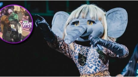 Aww! Mary J. Blige Meets Ellie the Elephant After That EPIC New York Liberty Halftime Show Tribute