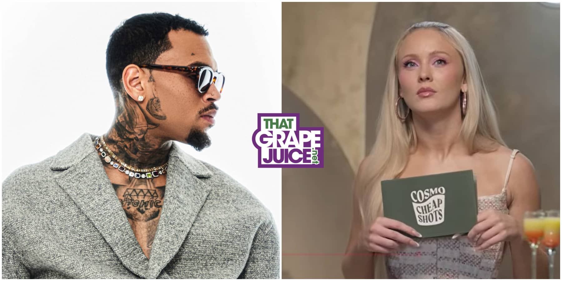 Zara Larsson Reveals She’s Blocked Chris Brown on Spotify: I Dont Listen to “Abusers”