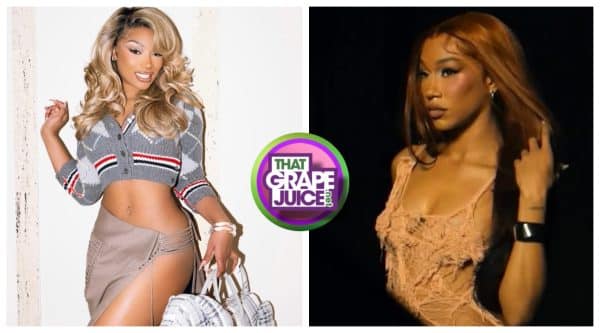 Megan Thee Stallion Laughs at Cardi B’s BIA Diss, BIA Hits Back