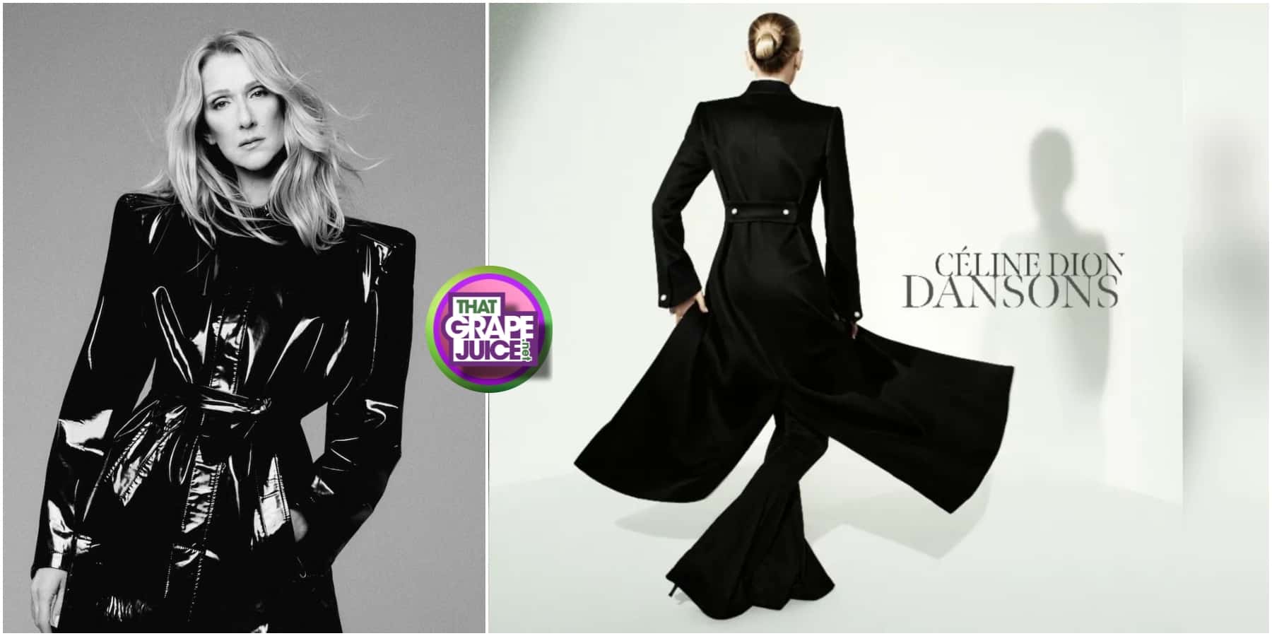 Celine Dion Drops New Song ‘Dansons’ / Adds MORE Dates to Paris Residency Due to Overwhelming Demand