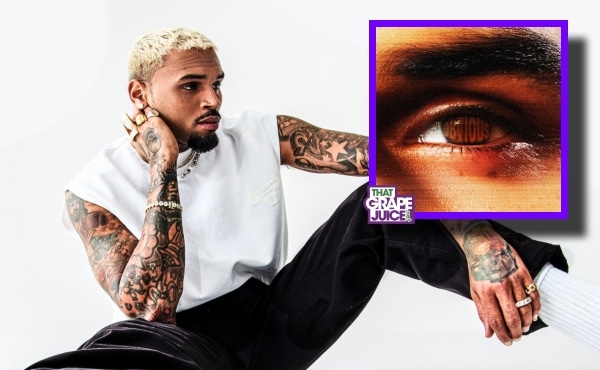 Surprise! Chris Brown Drops New Song ‘Obvious’ & Announces ‘Brown’ Album Release Date