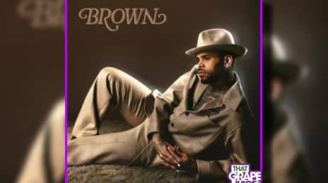 Chris Brown Unveils New 'Brown' Album Cover As 'R&B Tour' with Usher Expands Dates AGAIN Due to Demand