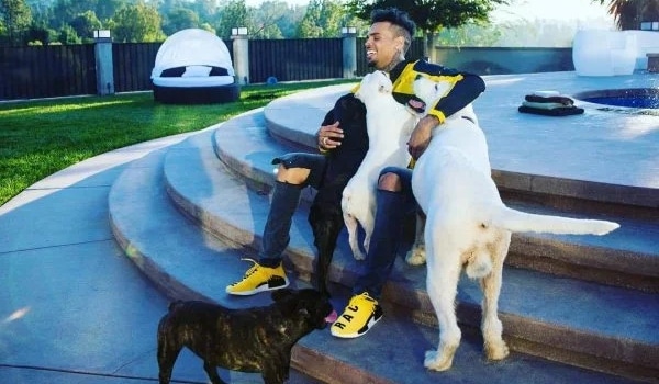 Chris Brown’s $90M Dog Attack Lawsuit: Mistrial Declared Over Juror Misconduct