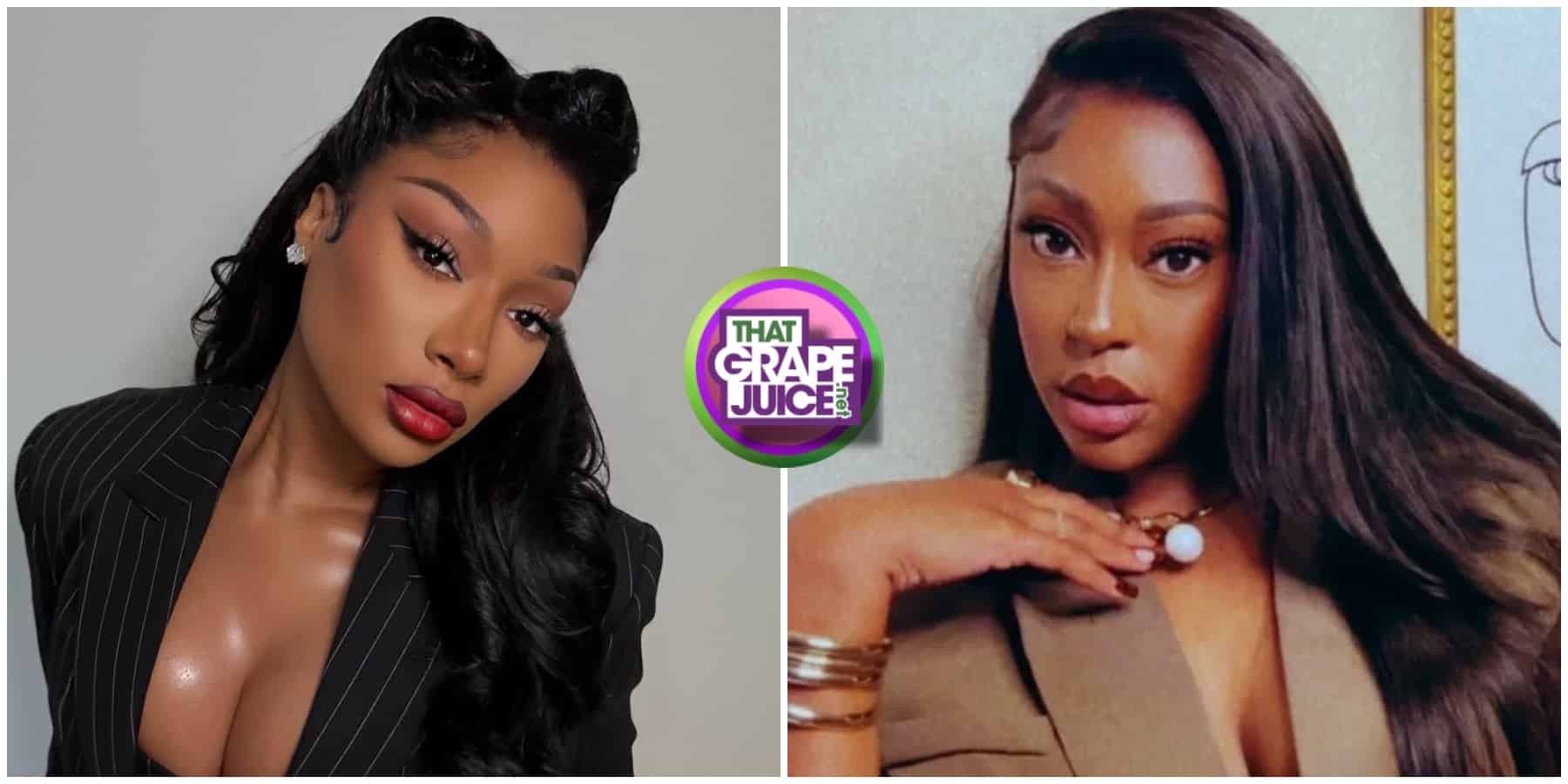 Megan Thee Stallion Fights Blogger’s Plea to Pause $75K Defamation Judgment