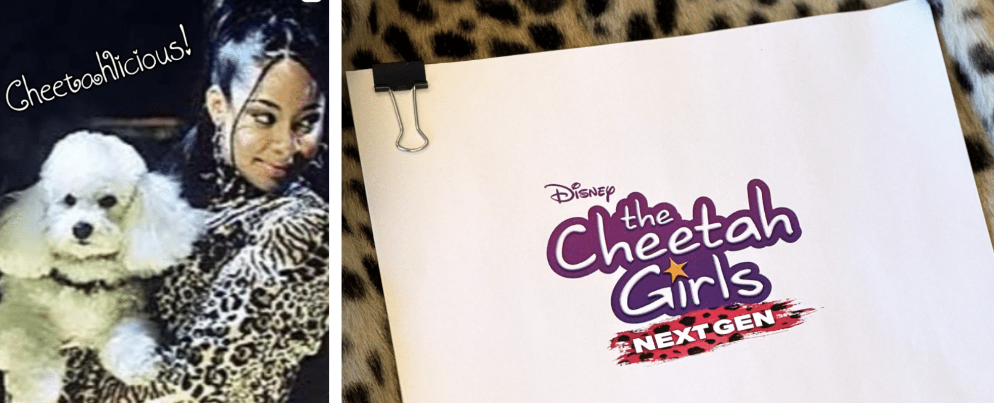 Raven-Symoné Readies ‘Cheetah Girls’ Revival, Adrienne Bailon-Houghton & More Returning