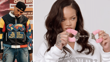 Chris Brown Pleads for Dog-Biting Case to Be Tossed Over Past Rihanna Assault Mention