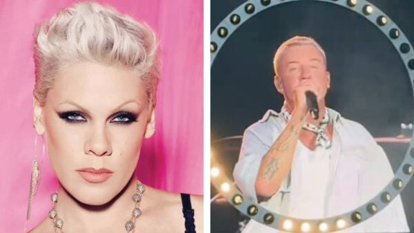 pink reposts antisemitism post amid Macklemore pro Palestine controversy