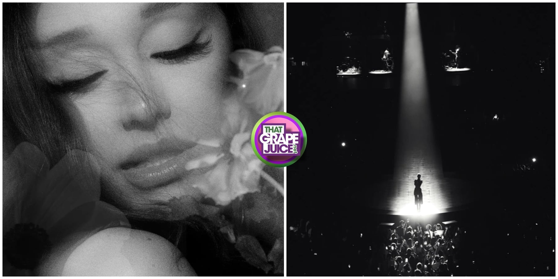 Ariana Grande Drops Surprise Live ‘Petal’ Album: Stream