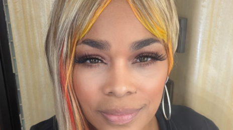 TLC's T-Boz Recovering After Sickle Cell Crisis Forces Her Off Tour