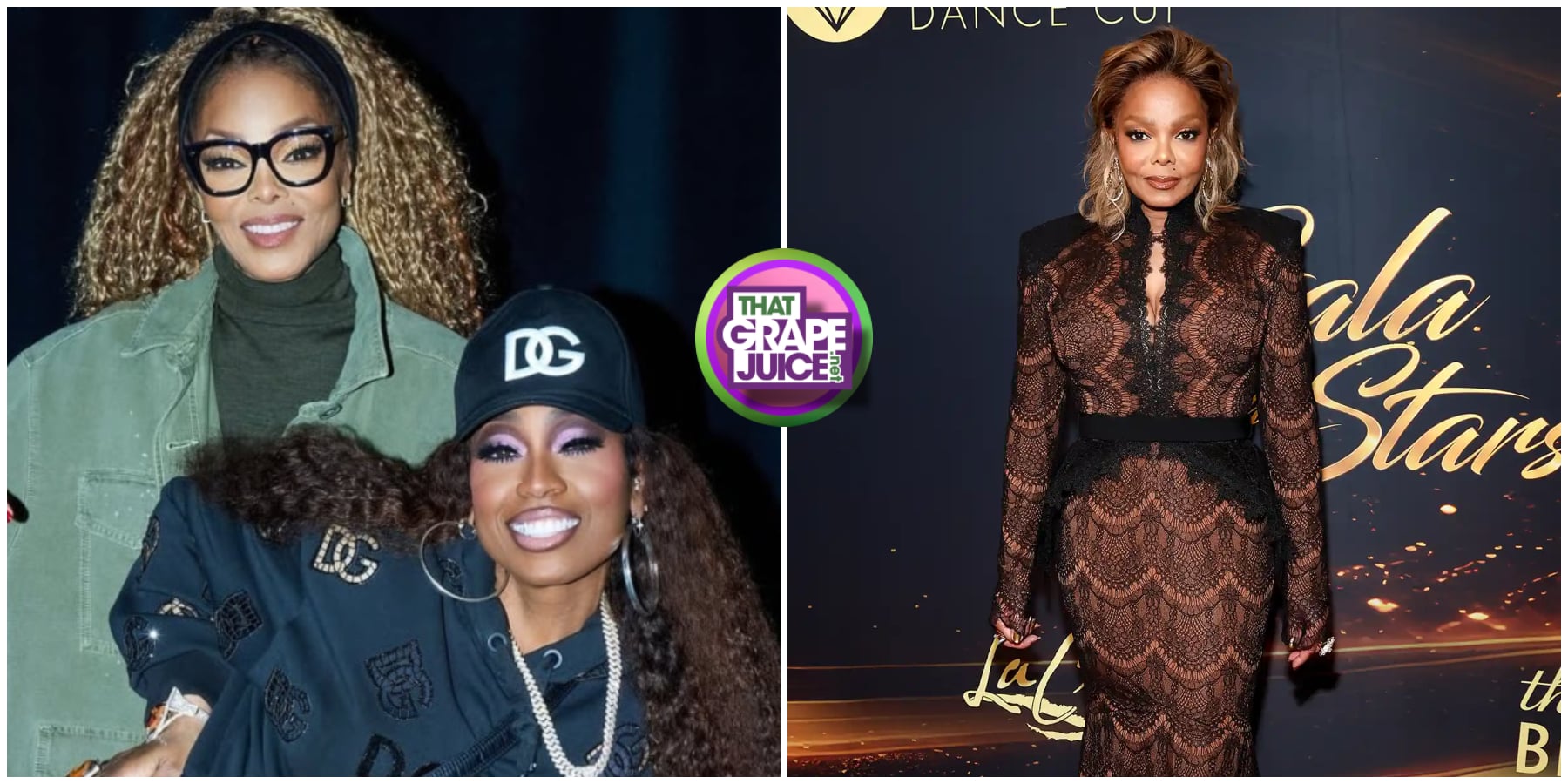Janet Jackson Stunned on 2026 ‘Dancers Against Cancer Gala’ Red Carpet Ahead of Presenting Missy Elliott the ICON Award [Photos]